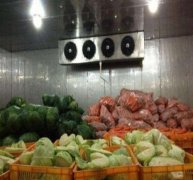 50吨蔬菜保鲜库决定造价的因素有哪些？