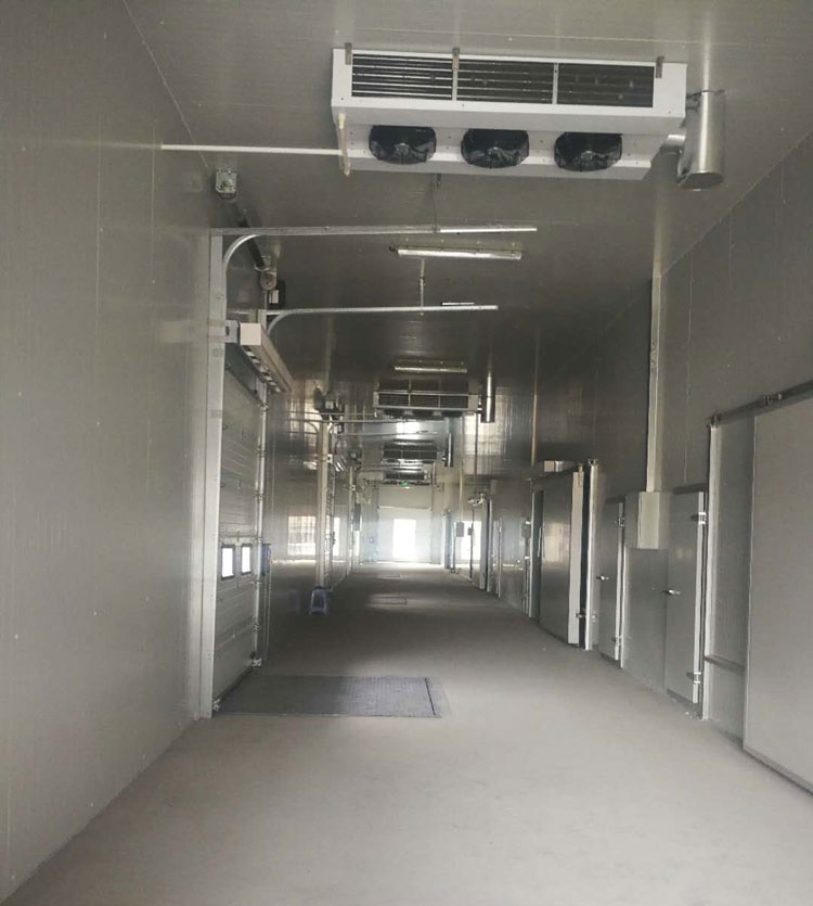 -25℃低温海鲜鱼肉加工厂冷冻库安装设计标准费用多少？