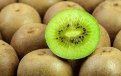 猕猴桃气调保鲜冷库造价，气调库哪家好